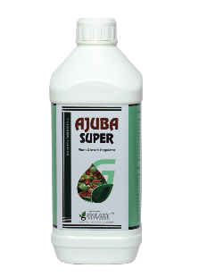 AJUBA SUPER