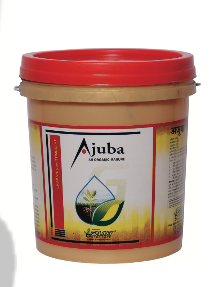 AJUBA