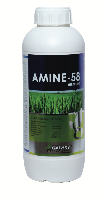 AMINE-58