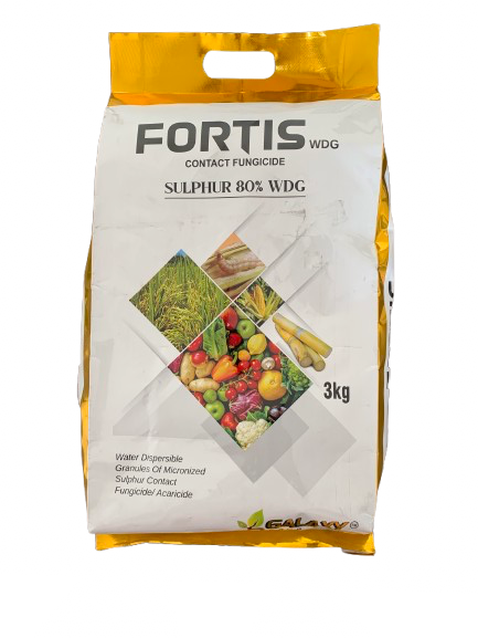 FORTIS WDG