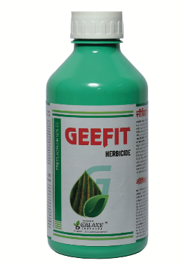 GEEFIT