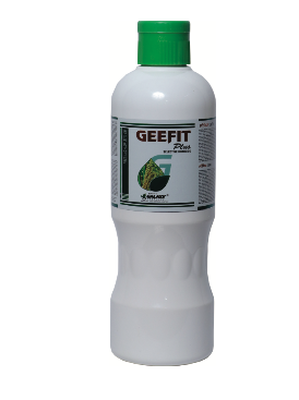 GEEFIT PLUS
