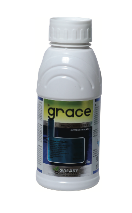 GRACE