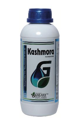 KASHMORA