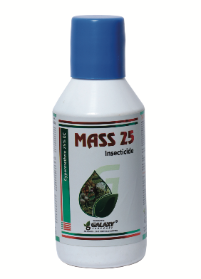 MASS-25