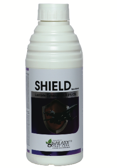 SHIELD