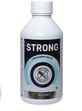 STRONG