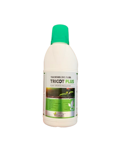 TRICOT PLUS