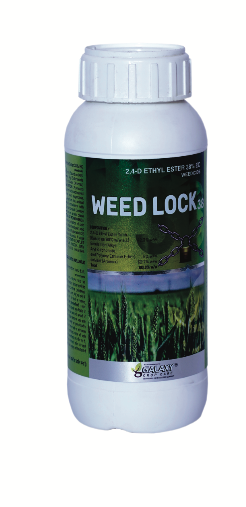 WEED LOCK 38